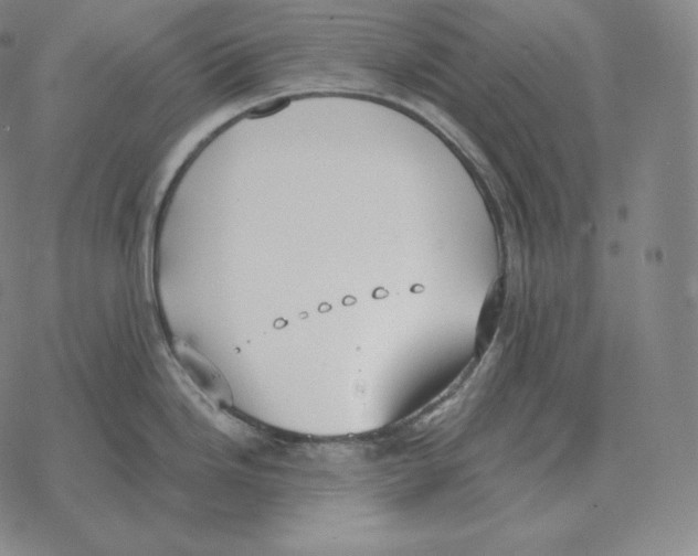 X0000069381246200606091643