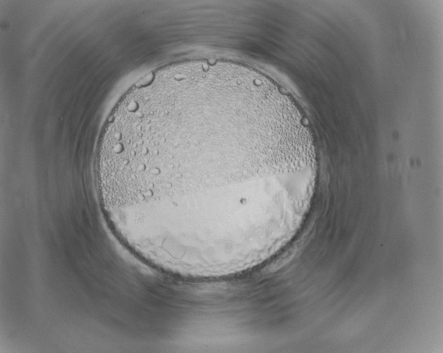 X0000069381247200606091643