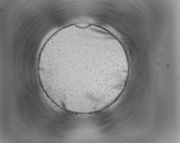 X0000069381248200606091643