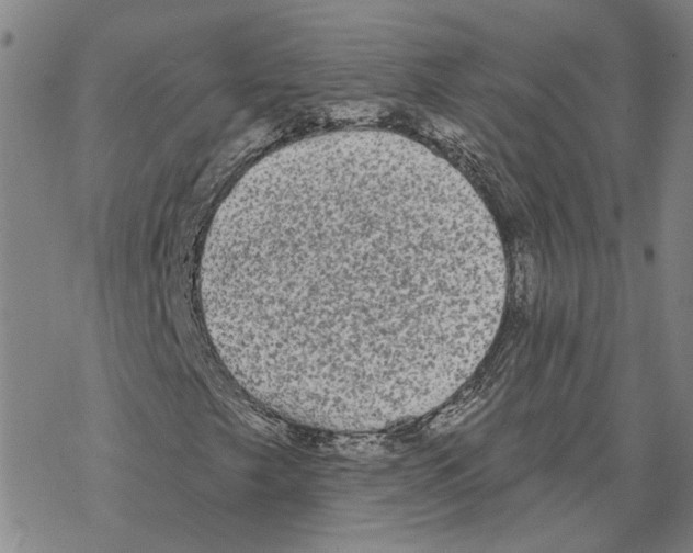 X0000069381249200606091642