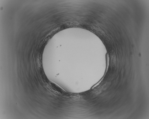 X0000069381250200606091642