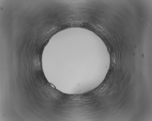 X0000069381252200606091642