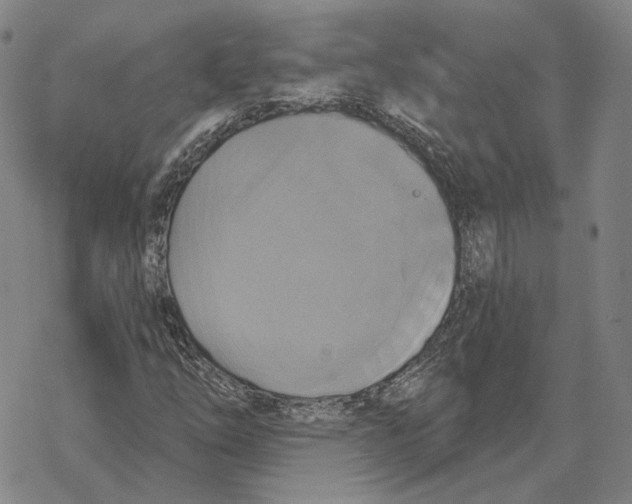 X0000069381254200606091642