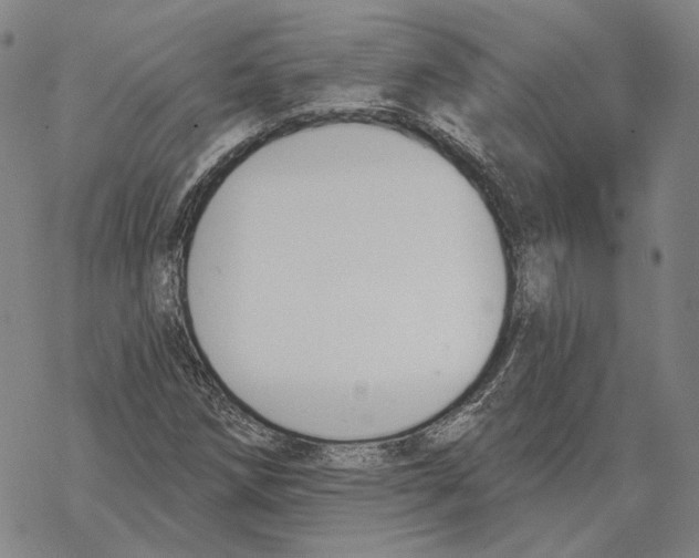 X0000069381258200606091642