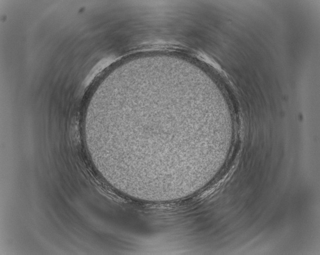 X0000069381259200606091642