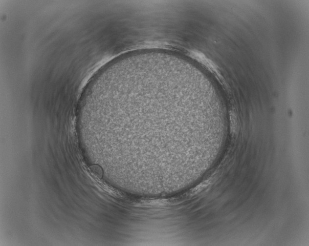 X0000069381260200606091642