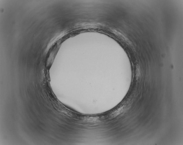 X0000069381261200606091642