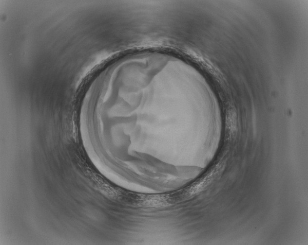 X0000069381262200606091642