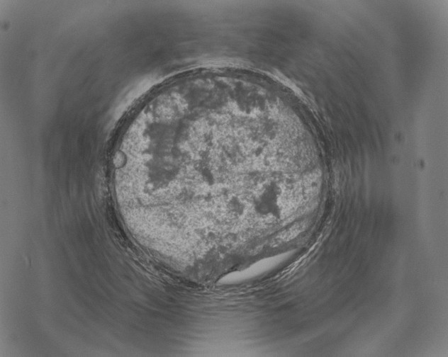 X0000069381263200606091642