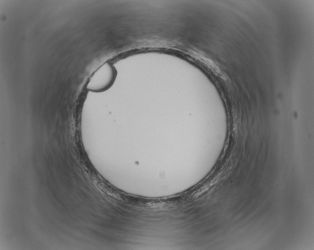 X0000069381264200606091642