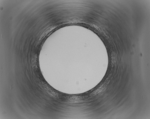 X0000069381265200606091642