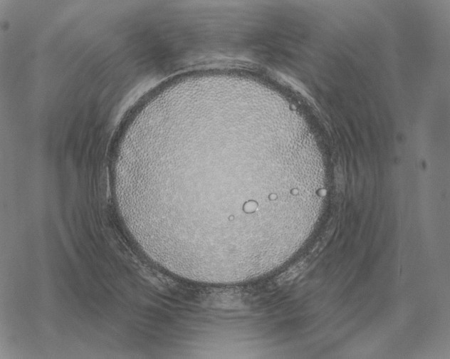 X0000069381267200606091642