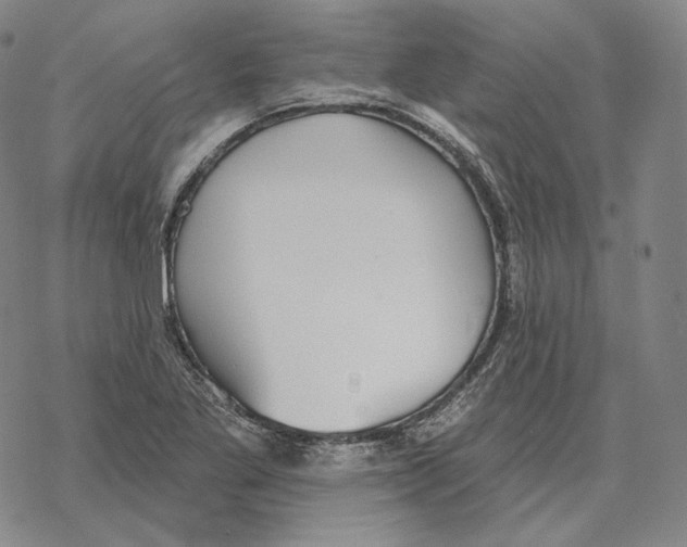 X0000069381269200606091642