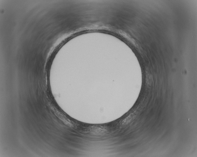 X0000069381270200606091642