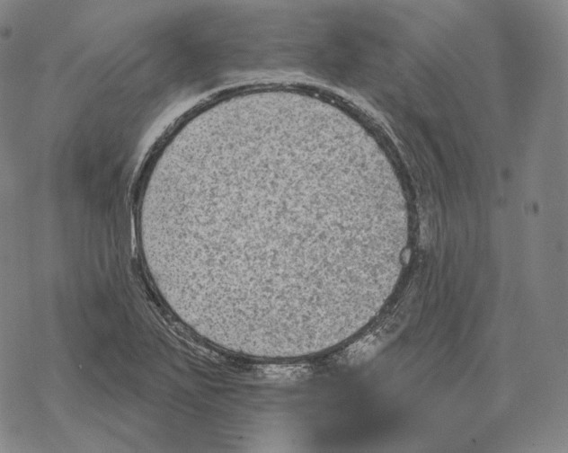 X0000069381271200606091642