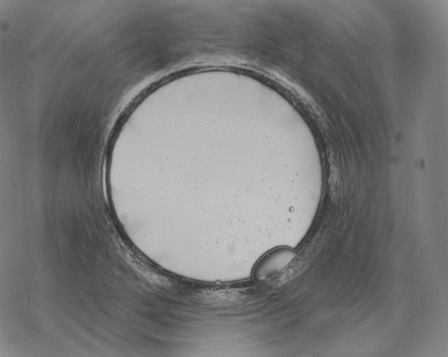 X0000069381272200606091642