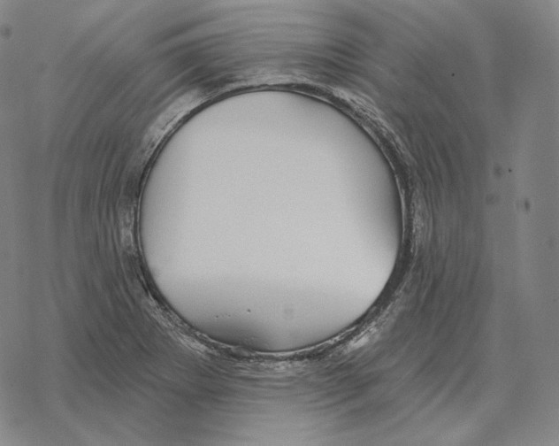 X0000069381273200606091642