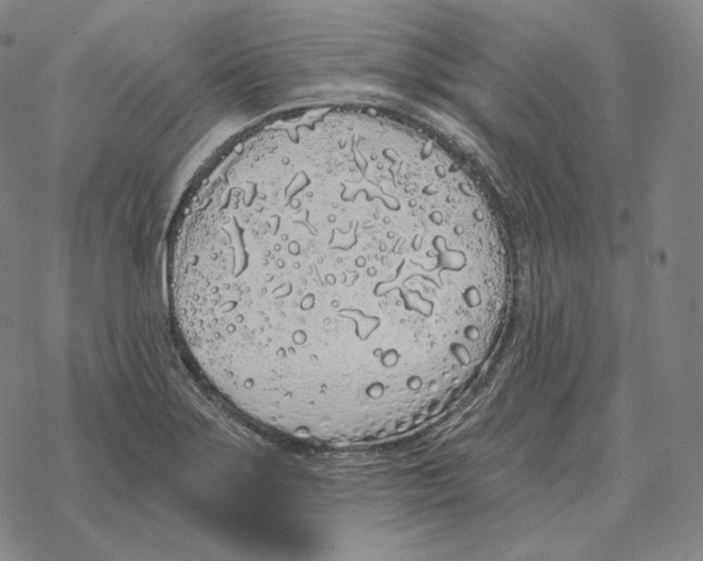 X0000069381275200606091642