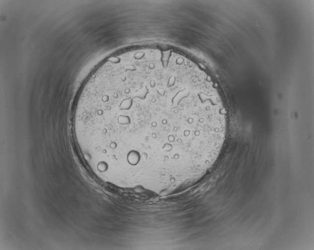 X0000069381279200606091642