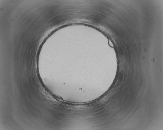 X0000069381280200606091642