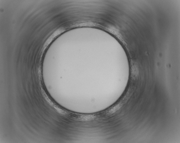 X0000069381282200606091642