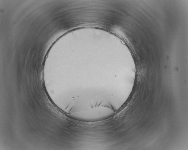 X0000069381284200606091642