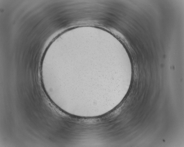 X0000069381288200606091642