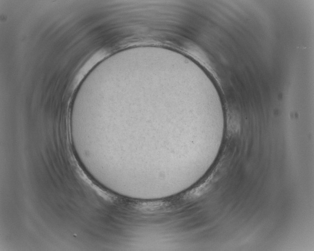 X0000069381290200606091642