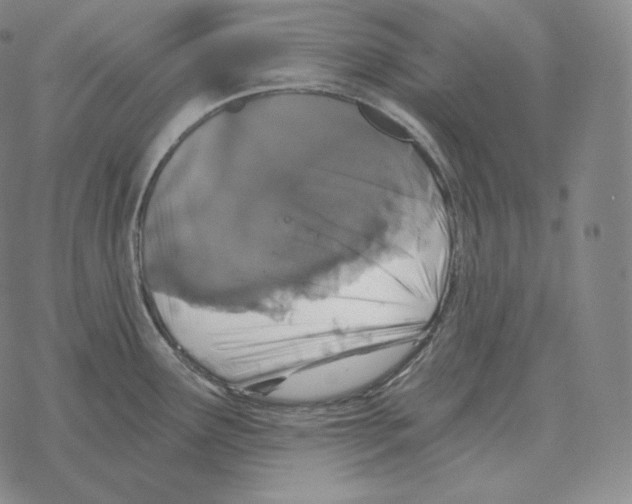 X0000069381291200606091642