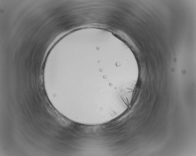 X0000069381292200606091642