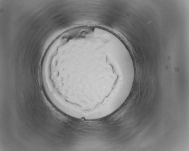 X0000069381295200606091641