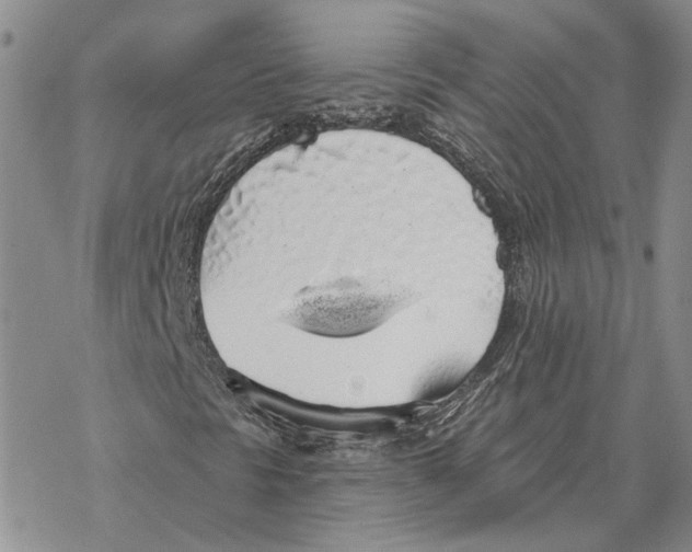 X0000069381297200606091641