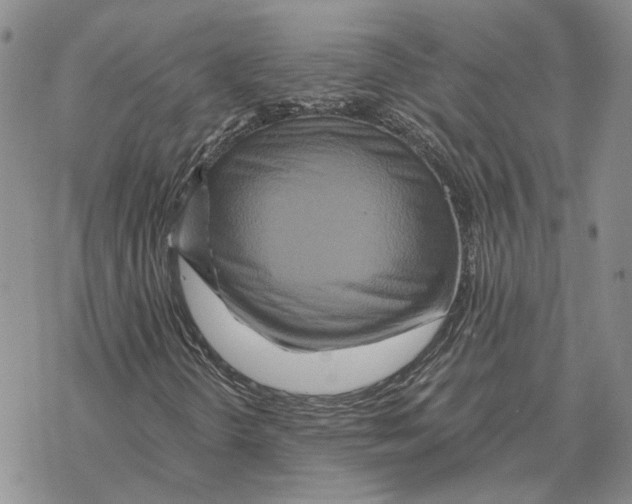 X0000069381298200606091641