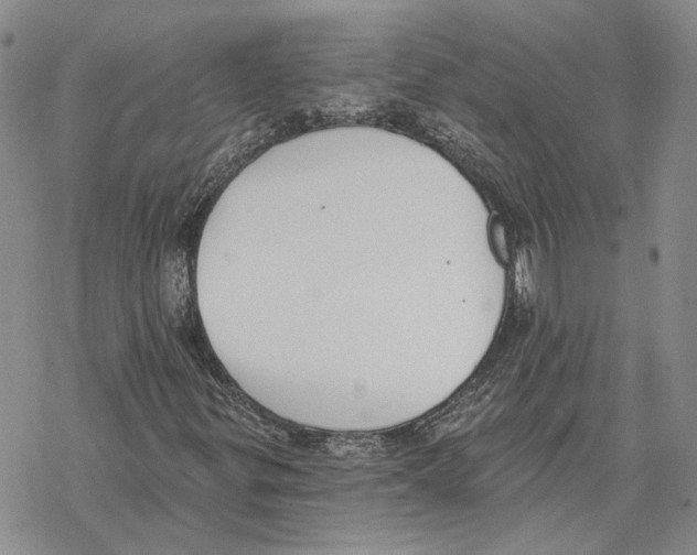 X0000069381299200606091641