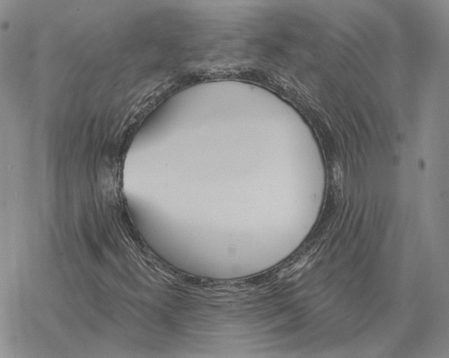 X0000069381300200606091641