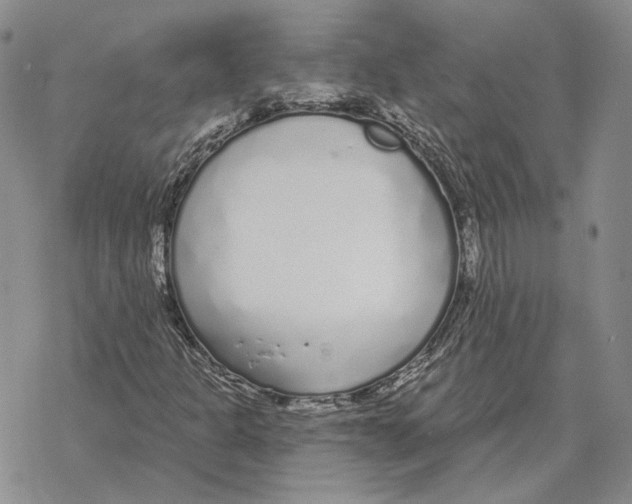 X0000069381301200606091641