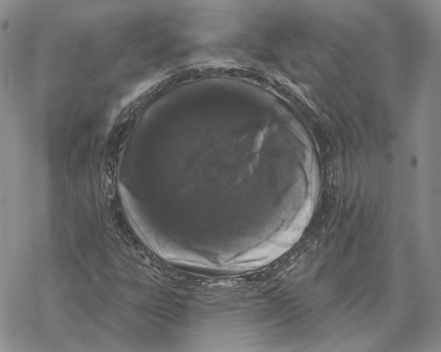 X0000069381303200606091641