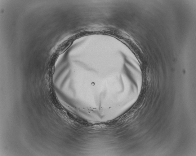 X0000069381304200606091641