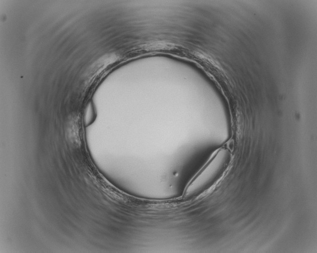 X0000069381305200606091641