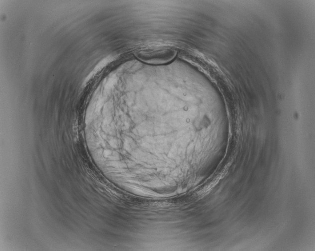 X0000069381306200606091641