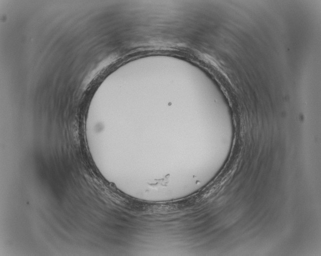 X0000069381307200606091641