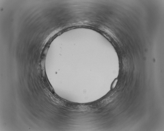 X0000069381308200606091641