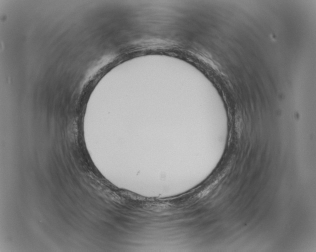 X0000069381309200606091641