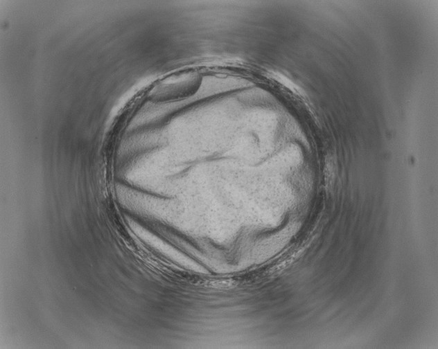 X0000069381310200606091641