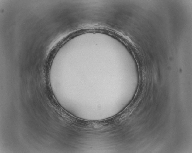 X0000069381311200606091641