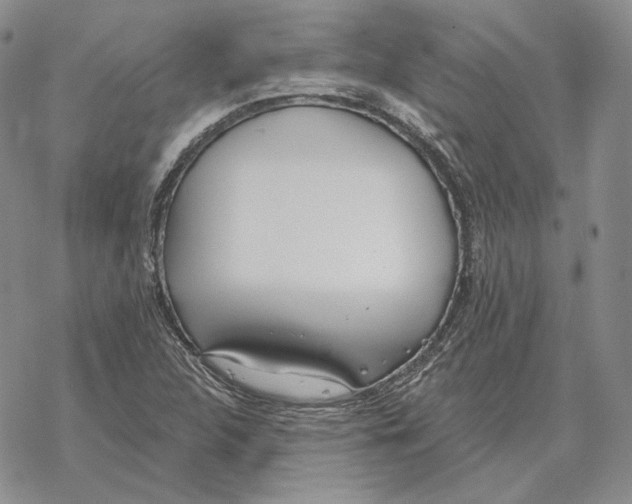 X0000069381312200606091641