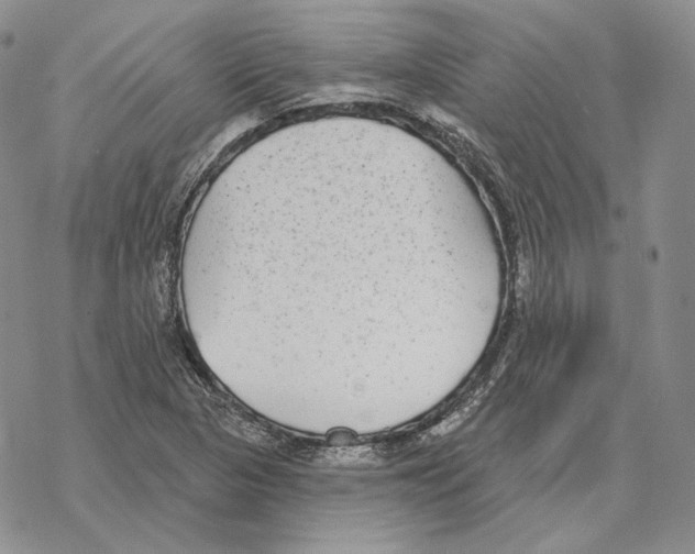 X0000069381313200606091641