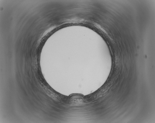 X0000069381315200606091641