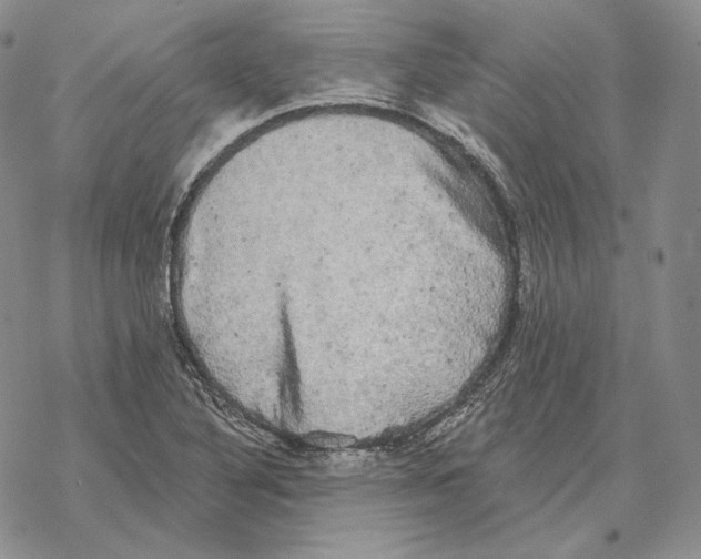 X0000069381316200606091641