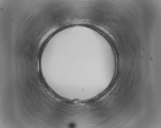 X0000069381317200606091641